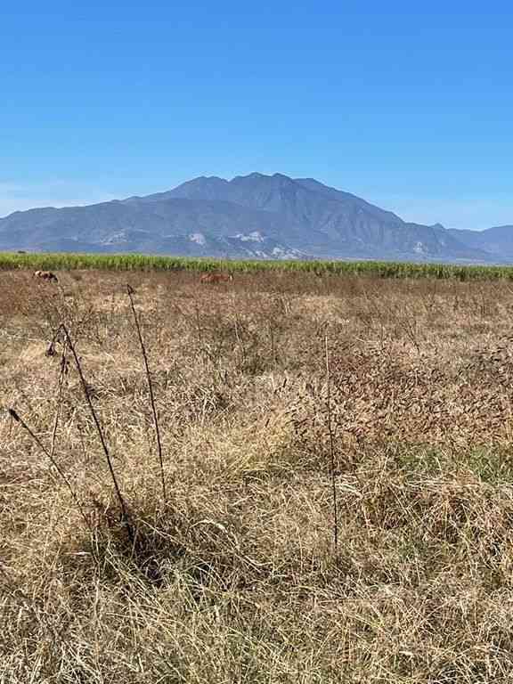 terreno en venta carretera pacana cuisillos castro urdiales pacana tala jalisco peHtNRE